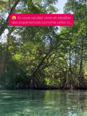A tranquil waterscape with lush green foliage on either side, a red rectangular text overlay is positioned at the top. The water surface reflects the trees and sky, creating a sense of serenity.