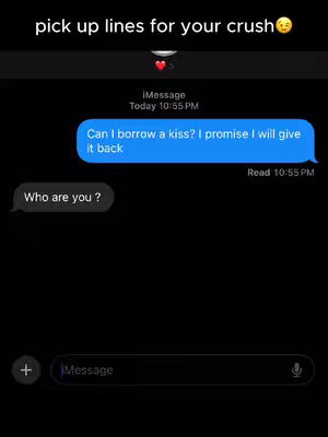 A black screen with a text message conversation. One blue speech bubble contains the text: 'Can I borrow a kiss? I promise I will give it back'. Below this bubble, a gray speech bubble replies with: 'Who are you?'. At the top, the headline 'pick up lines for your crush' is displayed.