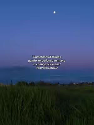 The image shows a serene landscape at dusk. The foreground is dominated by tall grass. Above it, a strip of land and sky painted with shades of purple, blue, and pink. In the sky, a bright moon is visible.