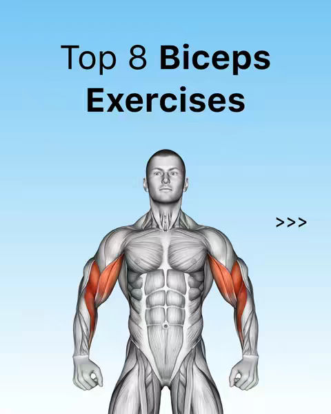 A digitally rendered image depicting the front view of a male figure with a muscular physique, showing muscle anatomy, particularly focusing on the biceps muscles. The background is a gradient of light blue and white. Text overlay indicates video content.