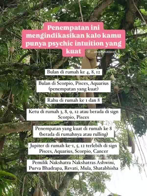 An image of tree branches and leaves, with text overlays in white and pink rectangles. The text consists of astrology-related information.