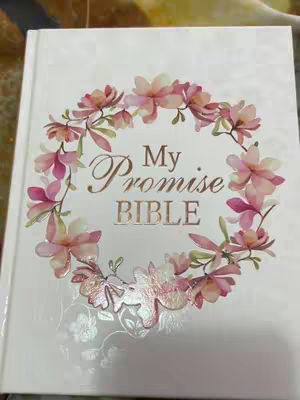 The cover image depicts a closed book, the title is 'My Promise BIBLE'. The book has a white cover. Embellishing the cover is a circular floral wreath made of pink and ivory flowers. The text 'My Promise BIBLE' is in an elegant font at the center.