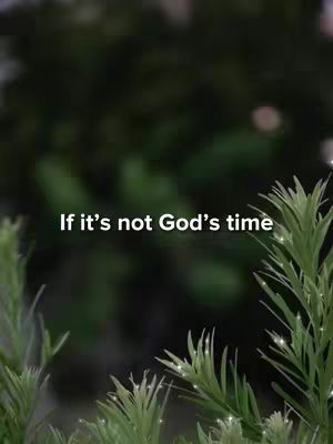 The cover image displays a blurred backdrop of green foliage, with text overlayed in the center. The foreground includes leafy green plants with droplets that add a touch of sparkle.