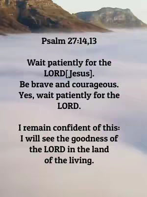 The image shows a landscape with a mountain range in the background, partially obscured by a layer of clouds or mist. Text is overlaid on the image, presenting a quote from Psalm 27:14,13, offering encouragement to wait patiently and remain brave. The text is centered and easy to read against the softer background tones.