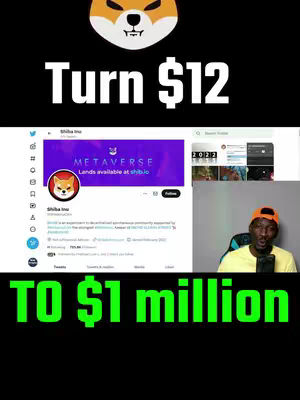 The cover image features a split-screen layout. At the top, the Shiba Inu logo is displayed above the text "Turn $12". Below this, a screenshot of a social media account on the left, showing a profile with a Shiba Inu logo and related information, and a video of a person wearing an orange hat and a microphone on the right. The lower part of the image contains the text "TO $1 million". The background is black. The visual elements aim to highlight the potential financial gain in cryptocurrency.