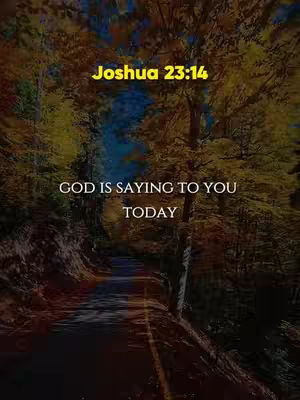 A road winds through a forest, with trees lining both sides. The sky is visible through the trees, suggesting a daytime scene. Text overlays are present, including a bible verse and a motivational message.