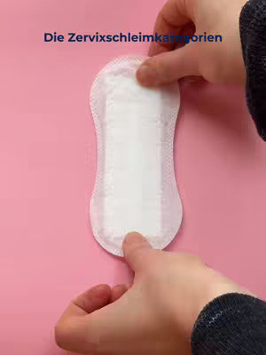 The cover image features a close-up view of a feminine hygiene pad held between two hands against a pink background. The pad is white with a light-colored lining, and the hands are holding it near the top and bottom edges. Text in the upper left corner reads 'Die Zervixschleimkategorien'.