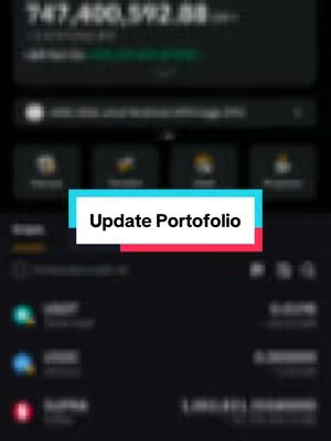 The cover image shows a blurred screenshot of a crypto portfolio on a mobile interface. A white rectangle with a blue top and red bottom that reads 'Update Portofolio' is superimposed over the image.