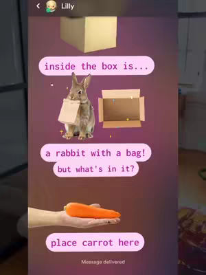 The cover image displays a light purple background with several overlaid elements. At the top, there is a cardboard box. Below this is a gray rabbit holding a paper bag in its mouth, with a box cutout to its right. Overlayed text bubbles in shades of pink provide the narrative: \"inside the box is...\", \"a rabbit with a bag! but what's in it?\", and \"place carrot here\". At the bottom, a hand is holding a bright orange carrot. Small text at the bottom reads: \"Message delivered\".