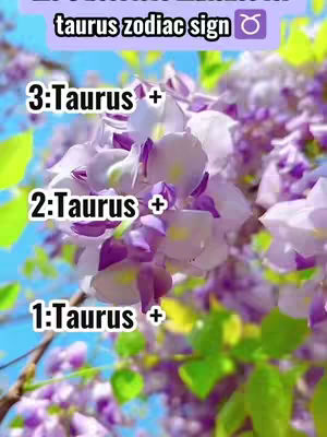 A vibrant collection of purple and white flowers takes center stage. The flowers have delicate petals and are against a backdrop of green leaves and a bright blue sky. Overlaid on the image are text elements in white and green, adding to the image's visual structure.