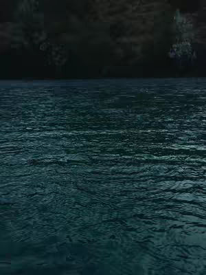 The cover image shows the ocean at dusk. In the foreground is the dark teal water with small waves, while the background consists of a dark cloudy sky.