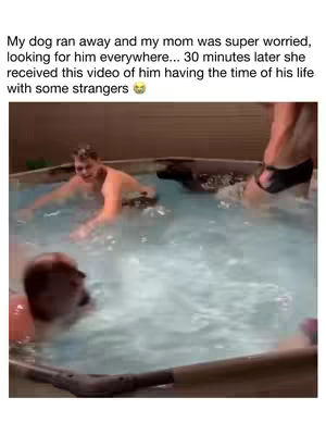 A cover image of a hot tub with people and a dog in it. The water is bubbling. The people appear to be relaxed. The background is brown. Text overlay at the top