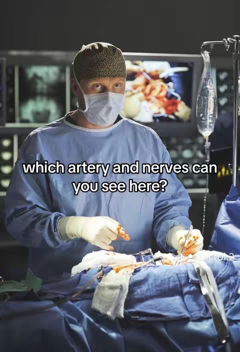 A medical setting with a doctor in surgical attire focused on a patient. Text overlayed asks about artery and nerve identification.. The doctor is wearing a face mask, cap, and surgical gown, suggesting a procedure is underway. Medical equipment and a screen displaying an image are in the background.