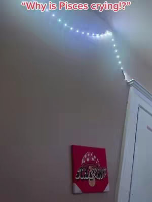The cover image showcases a room corner with white walls. A string of blue and white fairy lights is draped across the corner of the ceiling.  On the lower wall, a framed canvas displays an illustration of a white-spotted red mushroom with text saying "STAR SNOW".