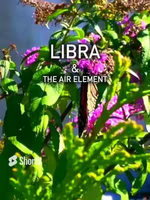 A vibrant image featuring lush green foliage and blooming pink flowers, with a monarch butterfly resting on the blossoms. The text overlay says \"LIBRA & THE AIR ELEMENT\". The overall composition is natural and colorful, with a focus on the plant life.
