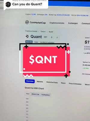 The cover image shows a screenshot of a CoinMarketCap page for Quant (QNT). A red square with a white border and black plus signs at the corners is overlayed on the webpage. Inside the red square is the text "$QNT" in white, bold font. The background appears to be a website page.