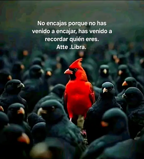 A striking image featuring a vibrant red bird standing out in a crowd of black birds. White text overlayed at the top conveying an inspirational message.