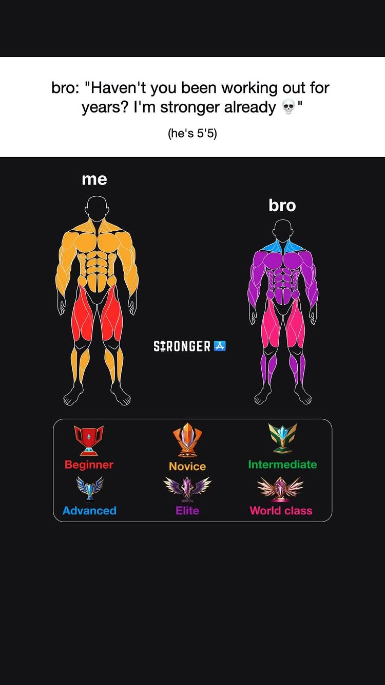 The image contrasts two body diagrams representing fitness comparison. The left side shows a body in yellow with red highlights, labeled 'me', while the right features another in purple with pink highlights, labeled 'bro'. Text above reads a dialogue about workout progress, with the phrase '(he's 5'5)'. Below are emblems representing different fitness levels like Beginner, Novice, Intermediate, Advanced, Elite, and World Class.