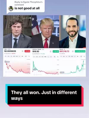 The image features a split composition with three individuals at the top, and cryptocurrency charts below each. Above, from left to right, are images of Javier Milei, Donald Trump, and Nayib Bukele, each seemingly representing different approaches to crypto. Below them are corresponding charts with fluctuating lines. The bottom portion contains a colorful rectangle with the text: 'They all won. Just in different ways'. Overall, the image is a comparison of crypto investment