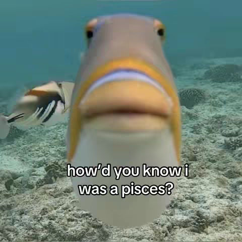 A close-up shot of a fish underwater, facing the camera. The fish has a tan body with yellow and blue markings, and its mouth is open. The background shows a sandy seabed and blurred images of other fish. The text overlay reads, "how'd you know i was a pisces?"
