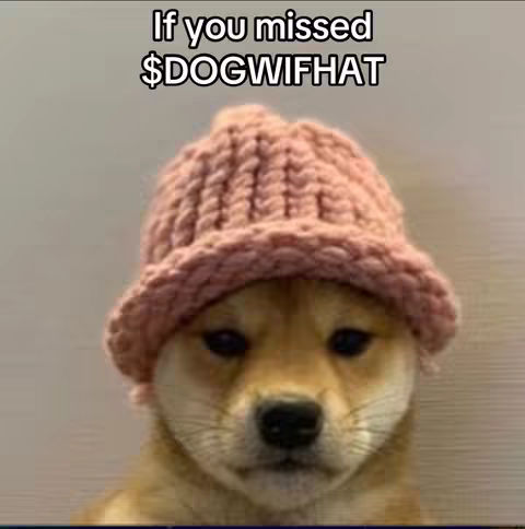 The cover image features a close-up of a Shiba Inu dog wearing a pink knitted hat, set against a simple, blurred background. Text overlay at the top reads If you missed $DOGWIFHAT.