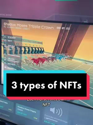 The image shows a computer screen displaying a simulated horse race. The screen is mostly black, with a race track in the foreground. There are animated horses running, each with a different color. Overlayed on the screen is a rectangle with the text '3 types of NFTs' in white. Beneath that, smaller text states 'Each horse is its own NFT'. The video is shot inside, where the monitor is being recorded by a phone