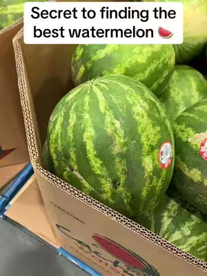 The image shows a cardboard box filled with several green and striped watermelons. The box is brown with a red watermelon logo visible at the bottom. Above the watermelons, a white text box reads Secret to finding the best watermelon, with a small watermelon slice icon next to it.