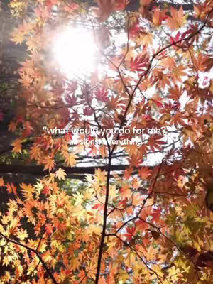 The image captures a lush, sun-drenched view of a tree's foliage with the sun peeking through. The leaves, in shades of orange and red, suggest an autumnal setting. Text overlays are placed over the leaves, appearing to be either a quote or question.