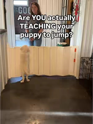 The cover image shows a woman standing behind a white baby gate, looking toward a Golden Retriever puppy that is standing with its front paws on the gate. The text overlay says, "Are YOU actually TEACHING your puppy to jump?"