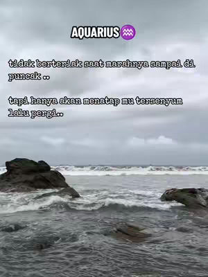 The image shows a seascape with a cloudy sky. In the foreground are dark rocks, and the water is choppy with white waves. Text overlays are present, including the word "AQUARIUS" at the top and text about the zodiac sign.