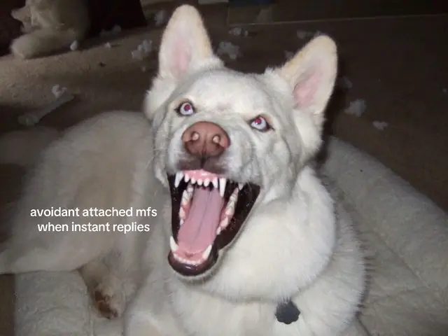A close-up photo shows an enraged white dog with open mouth baring its teeth. The animal's eyes are wide, and the background suggests a home setting with out-of-focus elements and white tissue paper.