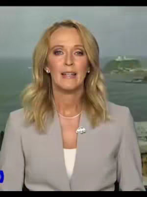 A medium shot features a blonde woman in a professional setting, likely a news studio. She is wearing a light gray blazer over a white top, and a delicate necklace with a small pendant. She has a subtle, yet pleasant expression and appears to be speaking. The background is blurred, with hints of an outdoor scene.