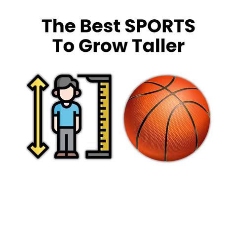 The cover image features a white background with a central arrangement of graphic elements. The image highlights a basketball to the right. Next to the basketball, towards the left, there's a graphic containing a person figure with a measurement graphic to the left consisting of yellow arrows and a ruler.