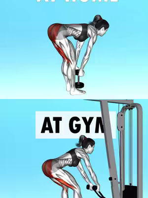 The cover image splits into two workout representations; at the top, a woman bends over with a dumbbell, demonstrating a home workout. Below, another woman exercises with gym equipment. The image is on a sky-blue background, with the text overlay.
