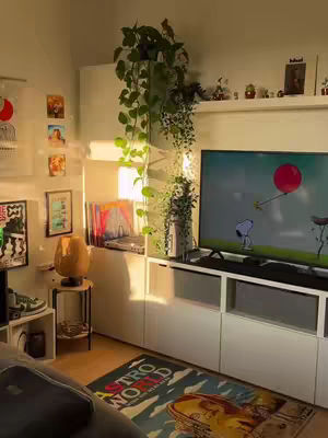 A well-lit room with a neutral color palette. A large, wall-mounted TV is the focal point, with decorative shelves above. Potted plants and artwork add visual interest. A patterned rug and a sofa are in the foreground, suggesting a cozy living space.