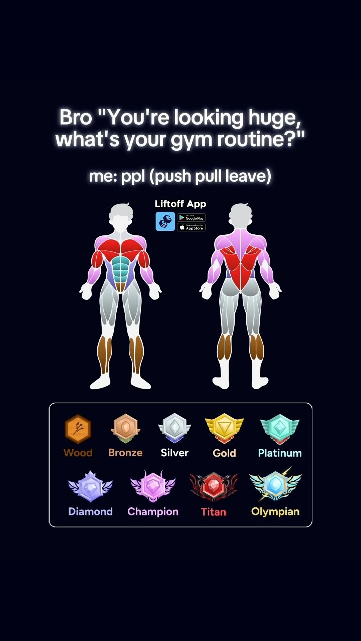The image is a fitness-themed graphic. It features two silhouetted figures representing the human body, with muscle groups highlighted in contrasting colors. The image is divided into several sections to illustrate different muscle groups for two individuals with different workout routines, with additional icons and text indicating the different levels or achievements in a fitness program.