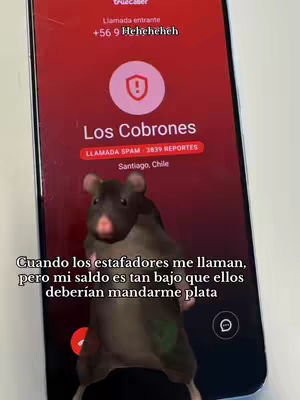 The image shows a smartphone screen with an incoming call from someone labeled "Los Cobrones" (The Debt Collectors). A cartoonish, animated rat is superimposed over the screen. The call information, including "LLAMADA SPAM" (SPAM CALL) and the city Santiago, Chile, is also visible. Text in Spanish describes being called by scammers while having an empty bank account.