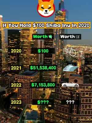 The cover image presents a nighttime cityscape with illuminated buildings. Overlayed atop the cityscape are several informational elements: a Shiba Inu logo at the top, a text overlay about the value of Shiba Inu investments, and a comparison table charting potential growth over time. Icons of luxury items, such as a bicycle, a futuristic vehicle, and a convertible car, accompany the value projections. The overall aesthetic is visually organized, using color-coded text boxes to highlight key monetary figures, creating a clear layout.
