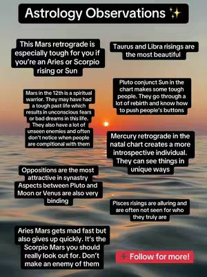 The image is a vertical infographic using a gradient background that transitions from dark blue at the top to light blue at the bottom, resembling a sunset over water. There are multiple rectangular text boxes containing astrology observations in white text with black outlines arranged in a grid, floating over the background. A sunset with the sun setting into the horizon subtly enhances the image. The top of the image has a horizontal banner in black containing white text reading "Astrology Observations". At the bottom right corner, it features a call to action, "Follow for more!" along with a plus sign icon. The overall layout is organized and clean, optimized for readability.