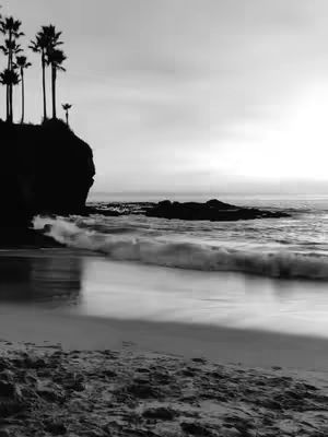 A black and white photo of a beach at dusk or dawn. The foreground shows a sandy beach with subtle textures. In the midground, the ocean has gentle waves. A dark rocky outcrop is present. On the left, a smaller rocky cliff has several palm trees silhouetted against the brightening sky, with soft clouds.