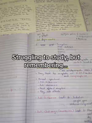 An open notebook filled with handwritten notes, with additional notebooks and papers placed around it. The foreground has a text overlay.