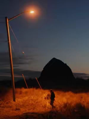 A silhouette of a person walking through a field of tall, dry grass towards the right. The scene is lit by a large, bright streetlight overhead. A dark, monolithic mountain or hill looms in the background.