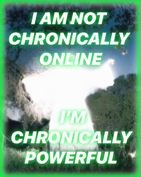 An image with a green border and backdrop made of blurry trees and sky. White text is layered on top of the backdrop and appears to be glowing. The text reads, 'I AM NOT CHRONICALLY ONLINE, I'M CHRONICALLY POWERFUL.'