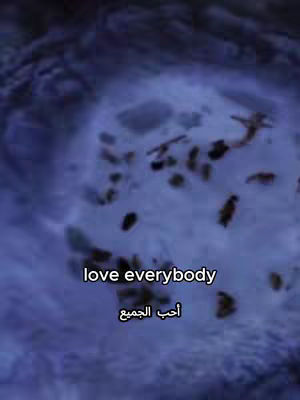 The image is a vertical shot with a textured blue background, possibly water or ice. Two lines of white text are centered, reading 'love everybody' in English, followed by the Arabic translation. The overall composition is simple, with a focus on the text against the cool-toned background.
