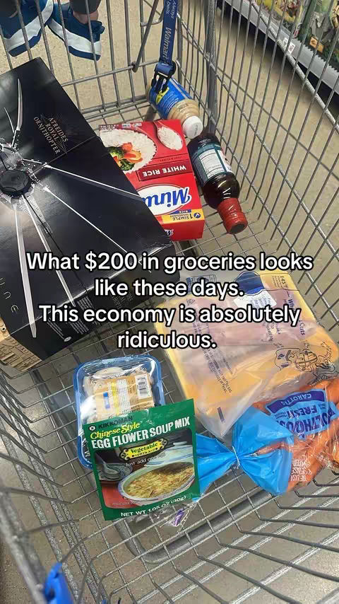 An overhead shot looking into a shopping cart filled with groceries. The cart's metal frame forms the outer borders of the image. Inside, various food items are visible: a black box, a box of rice, bottles, and packaged food items. Overlayed text in the image highlights the expense of the items.