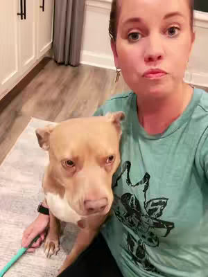 A woman and a pitbull are in a cozy setting, likely a home. The woman is holding the dog closely and the dog is looking at the camera with a serious expression. The woman is looking at the camera with a slightly puckered expression.