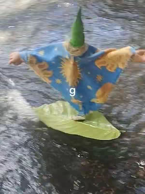A person dressed as a wizard with outstretched arms appears to be floating or surfing on a leafy green object atop a body of water. The wizard wears a blue robe with gold sun designs, a green pointed hat and white accents. The water is rippled, and the overall lighting appears to be natural.