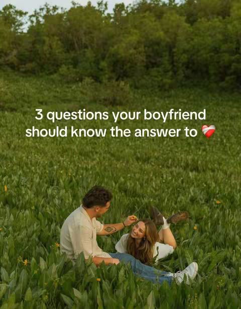 A cover image shows a couple in a grassy field on a sunny day. The man is seated, facing the woman, who is lying in the grass. Both are dressed casually in light-colored clothing, and the image has a warm, inviting color palette.