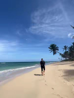 A man walks away from the camera on a sandy beach with palm trees on his right and the ocean on the left side of the frame. The sky is bright blue with a few clouds.