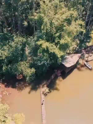 An aerial shot of a calm river with a small wooden pier extending into it. Surrounding the river are dense green trees, with a wooden structure offering shelter near the water's edge. A small boat is docked nearby. The water is a brownish color, and the scene is bathed in sunlight.